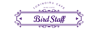 birdstaff